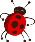 ladybug ladybug